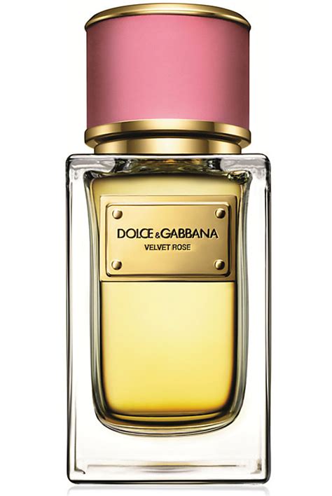 dolce gabbana donna.